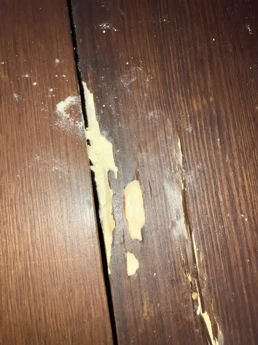 Termite-damaged wood showing hollow interior from feeding