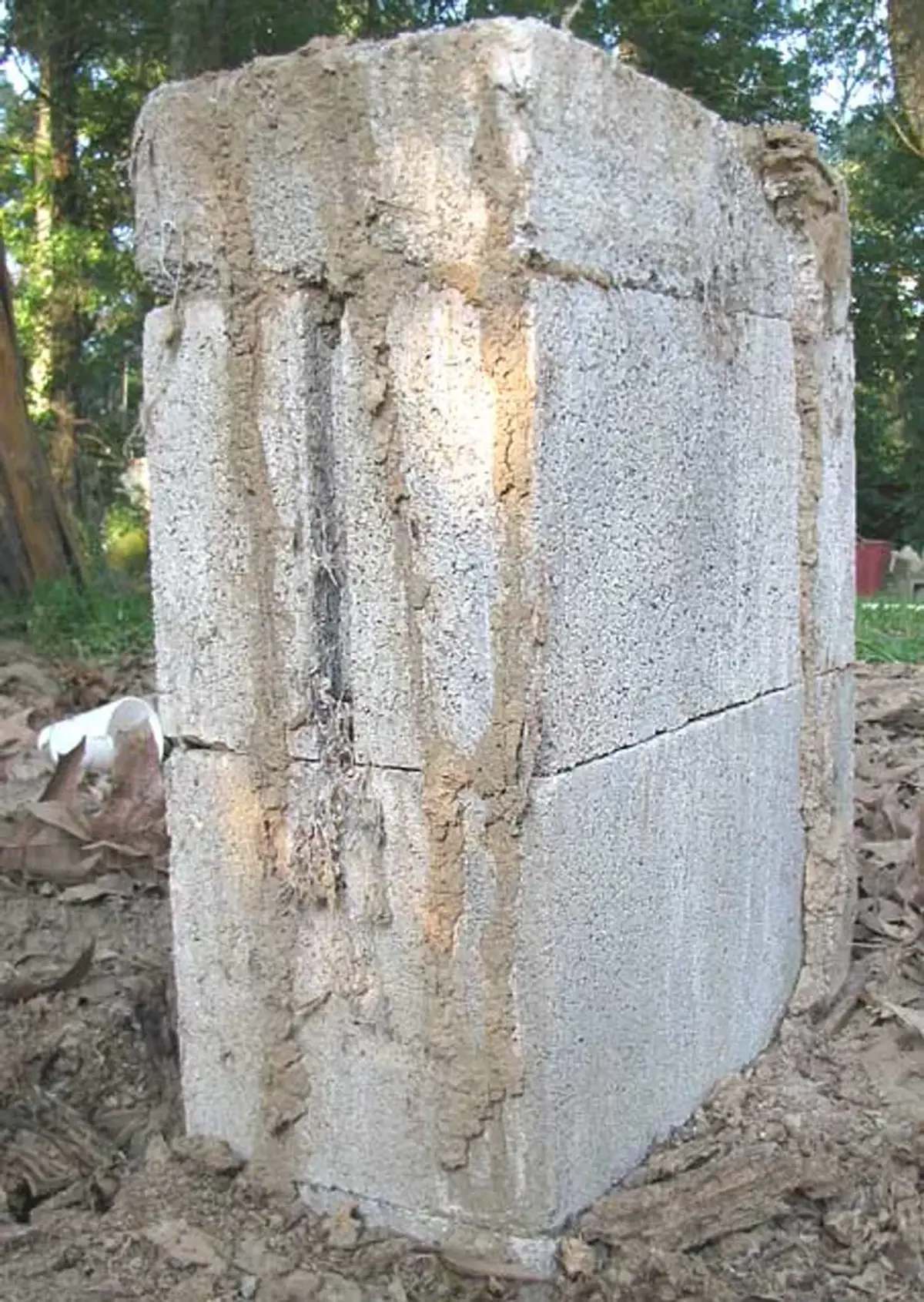Termite mud tubes running up a concrete block foundation