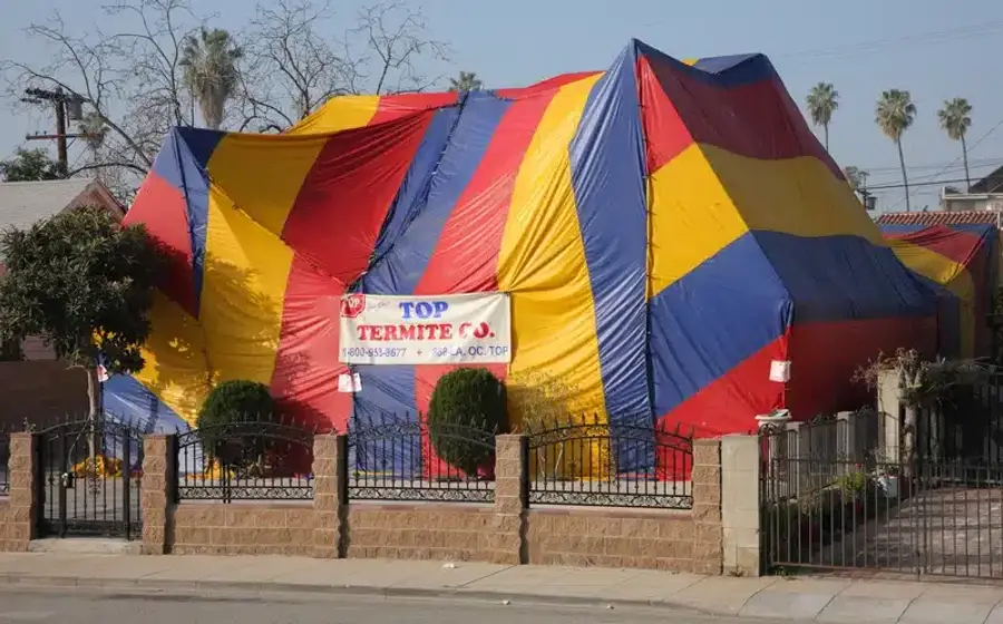 House covered with colorful treatment tent