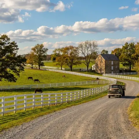 Rolling Virginia countryside with white horse farm fences and mature oak trees near The Plains in Fauquier County