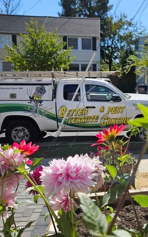 Better Termite and Pest Control truck parked in a lush neighborhood with flowers and greenery