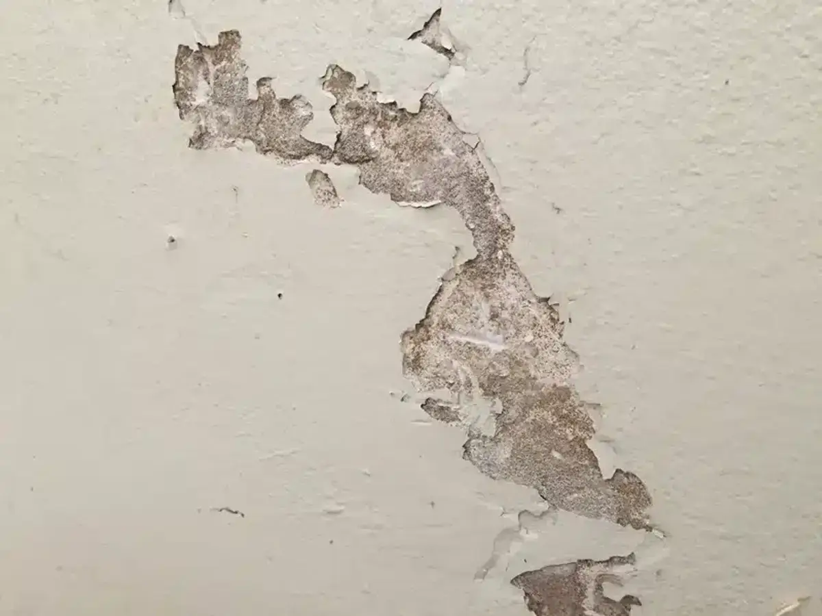 Damaged wall showing peeling paint.
