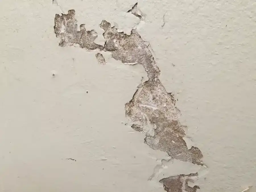 Wall damage that can indicate pest or moisture problems