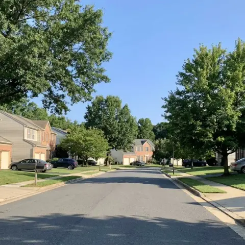 Suburban street with brick and vinyl-sided colonial homes in a Woodbridge, Virginia neighborhood
