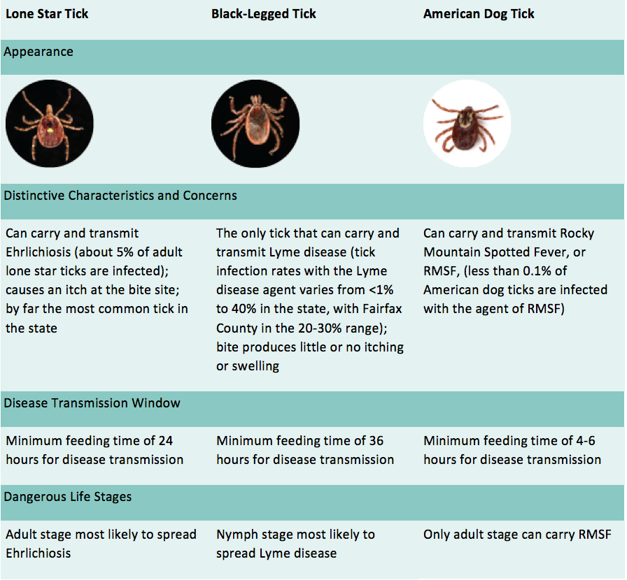 Ticks_in_Virginia