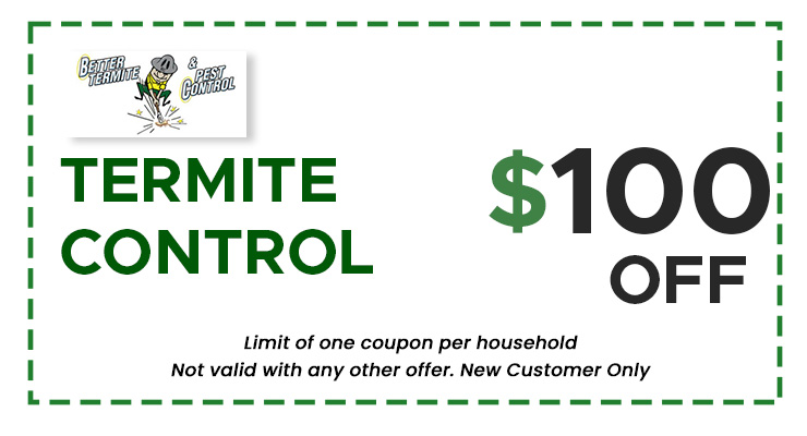 termite-control-coupon