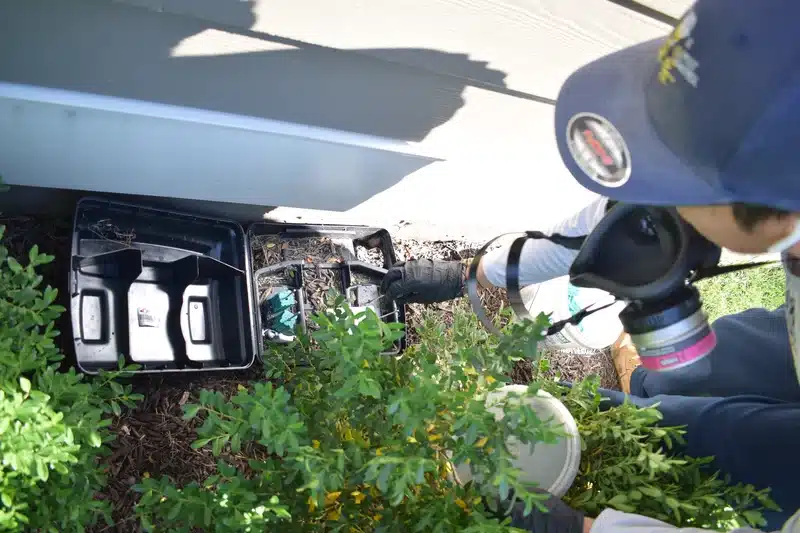 Technician inspecting outdoor bait stations near home foundation