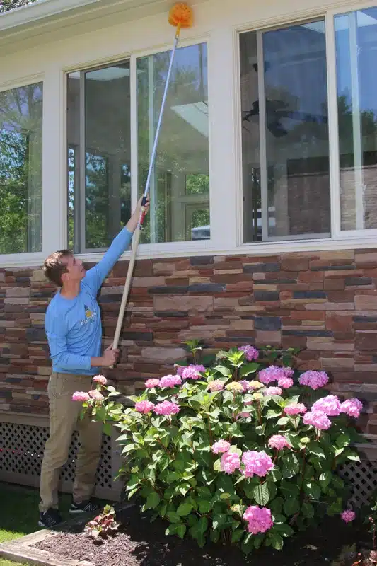 Technician using extension pole for safe nest removal